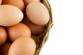 Full of Eggs put in a wicker basket in white background (isolated) Royalty Free Stock Photo