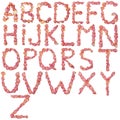 Full English alphabet made of pink rose petal