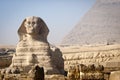 Full-face of Sphinx