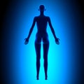 Full Female Body - Back View - Blue concept Royalty Free Stock Photo