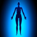 Full Female Body - Front View - Blue concept Royalty Free Stock Photo