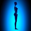 Full Female Body - Side View - Blue concept Royalty Free Stock Photo