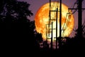 Full Fish Moon back on silhouette power electric line and pole on night sky Royalty Free Stock Photo