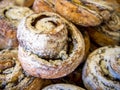 Full-flavored fresh muffins sprinkled with powdered sugar