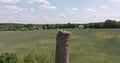 full flight over stork hatches its chicks in nest on top of tall old brick chimney