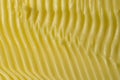 Full frame abstract margarine texture made by knife used to spread