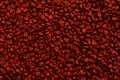 Full frame of annatto seed. Royalty Free Stock Photo
