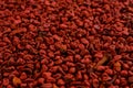 Full frame of annatto seed. Selective focus