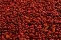 Full frame of annatto seed. Selective focus Royalty Free Stock Photo