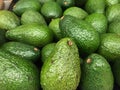 Full frame avocado pattren texture background