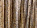 Full Frame Dry Brown Bamboo Sticks Wall Royalty Free Stock Photo