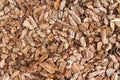 Full frame background made of natural untreated tree bark pieces - wood chip mulch for gardening or natural themes. Copyspace for Royalty Free Stock Photo