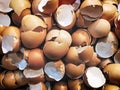 Full Frame Background of Pile of Eggshells