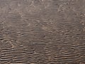 Beach background with wavy pattered surface formed by water on the wet sand and shadow