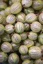 Full frame close-iup of fresh gooseberries, green fruit Royalty Free Stock Photo