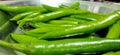 Full frame close up of a bunch of bright and shiny green chili peppers.