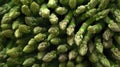 Full frame close-up of bunches of asparagus. Generative AI Royalty Free Stock Photo