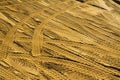 Full frame close up of countless wildly scattered wheel tracks in sand of construction site - Germany