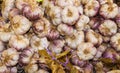 Full frame close up of heap of countless raw garlic bulbs on french market - St. Tropez, France