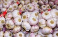 Full frame close up of heap of countless raw garlic bulbs on french market - St. Tropez, France