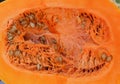 Full frame close up photo of half sliced pumpkin with seeds