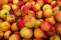 Full frame close up of pile red yellow apples wellant Royalty Free Stock Photo