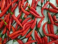 Full frame close up on red hot fresh spicy small cayenne chilly peppers on white background