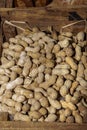 Full frame, closed up, top view of raw peanuts in shells Royalty Free Stock Photo