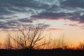 A full frame cloudy sky with little holes showing blue sky. Silhouette of trees in the bottom of a frame