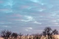 A full frame cloudy sky with little holes showing blue sky. Silhouette of trees in the bottom of a frame