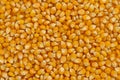 Full frame of corn cereal Royalty Free Stock Photo