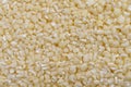 Full frame of crushed white corn kernels Royalty Free Stock Photo
