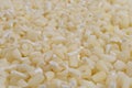 Full frame of crushed white corn kernels. Selective focus Royalty Free Stock Photo