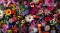 A full frame of diverse natural flowers. Hyper-realistic.