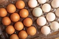 full frame eggs of chicken and duck Royalty Free Stock Photo