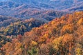 Full frame fall autumn Great Smoky Mountains covered with colorful trees Royalty Free Stock Photo