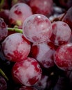 Close up of Fresh red grapes. closeup shot Royalty Free Stock Photo