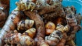 Full frame Ginger and turmeric on a banana leaf