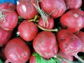 Full frame of a group of radish