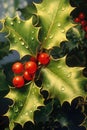 Full frame of holly and red berries background, created using generative ai technology Royalty Free Stock Photo