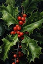 Full frame of holly and red berries background, created using generative ai technology Royalty Free Stock Photo