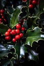 Full frame of holly and red berries background, created using generative ai technology Royalty Free Stock Photo