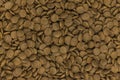 Full frame image of cat dry food kibbles Royalty Free Stock Photo