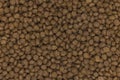Full frame image of cat dry food kibbles Royalty Free Stock Photo