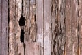 Full frame image of a damage wooden house wall because of a termites problem. Royalty Free Stock Photo