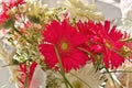 Full Frame Image of Fresh Colorful Bouquet of Pink Fuchsia and White Gerber Daisies Royalty Free Stock Photo