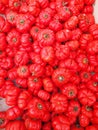 Full frame image of lots of lush red beef tomatoes Royalty Free Stock Photo