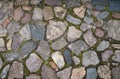 Full frame image of multicolored granite cobblestone with green moss between stones