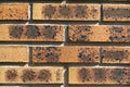 Full frame image of the old beige brick wall. For background, poster, loft style, texture, plenty place for text. Royalty Free Stock Photo