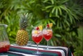 Full Frame image of two Glasses of Sangria on a Multicolored Cloth with Lady Palms in the Background.